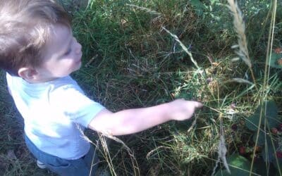 News from the Squirrel Room – July 2025