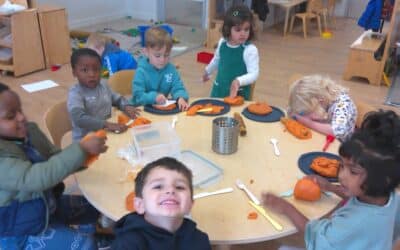 News from the Hedgehog Room – November 2025