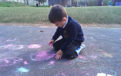 Seasonal Exploration and Learning in the Squirrel Room