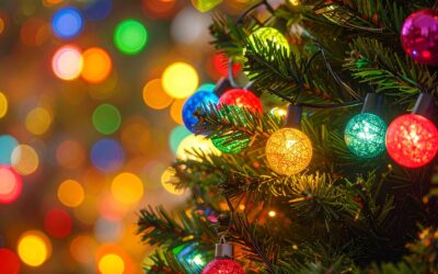 Our End of Term Winter Fair (December 2025)