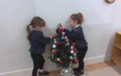 News from the Fox Room – December 2025