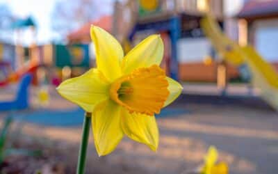 March 2026 Newsletter (Term 4)